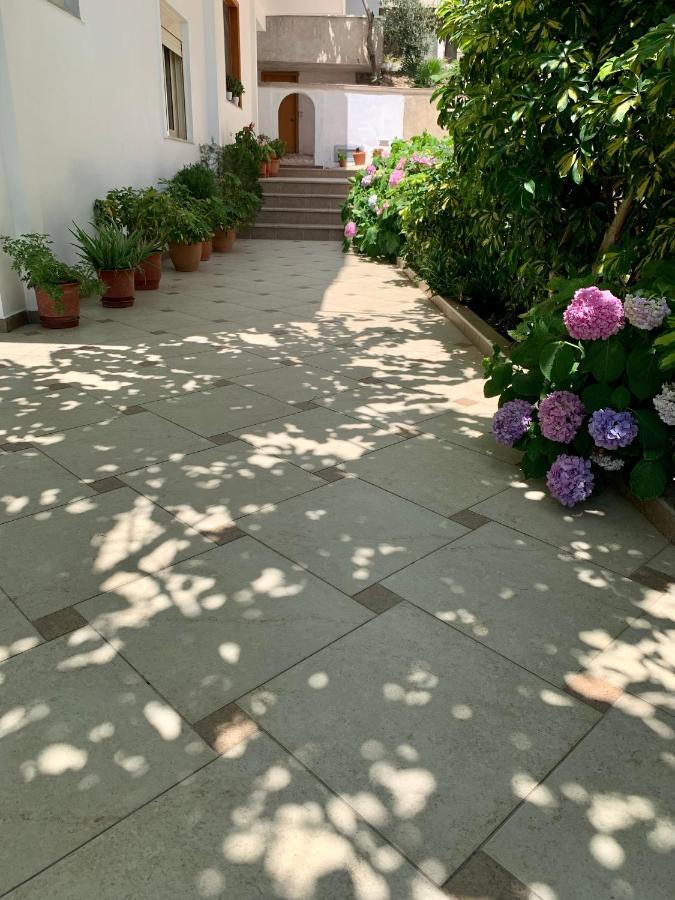 Duka Apts Sarandë 外观 照片